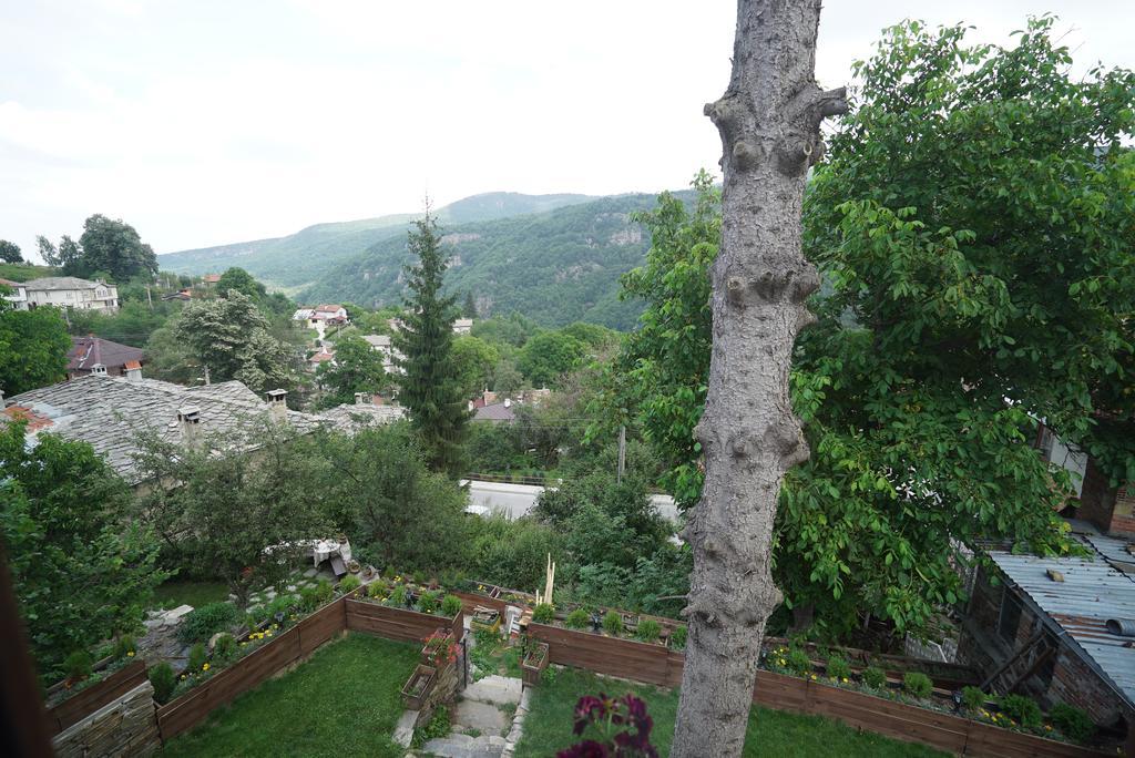 Pisanata House Villa Dedovo Kültér fotó